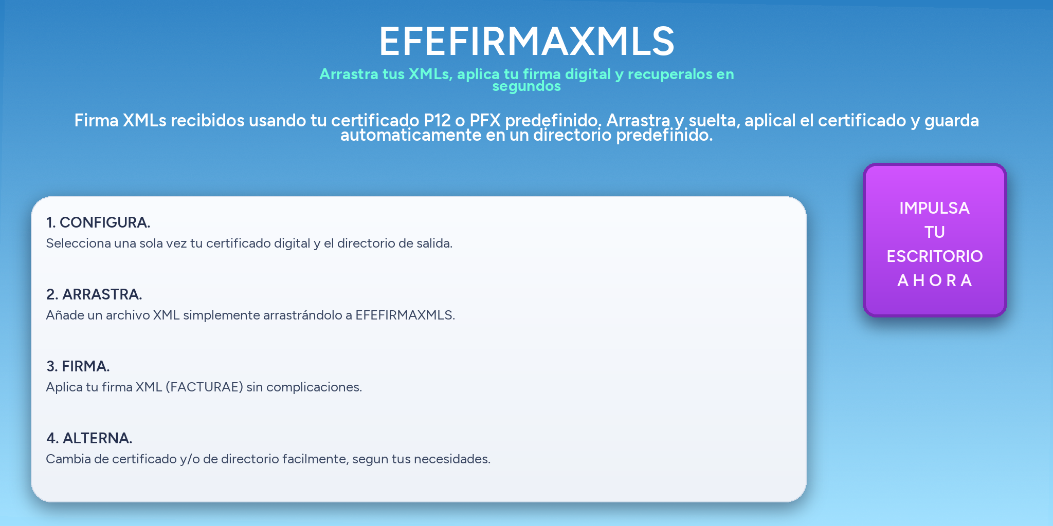 Banner de EFEFIRMAXMLS